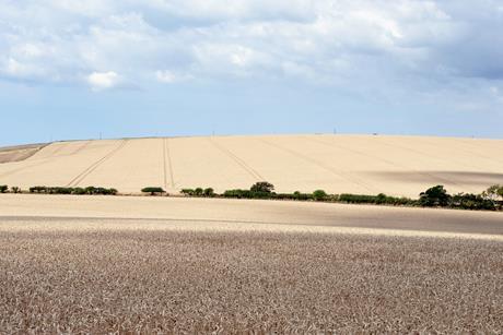 dorset cost drought - getty