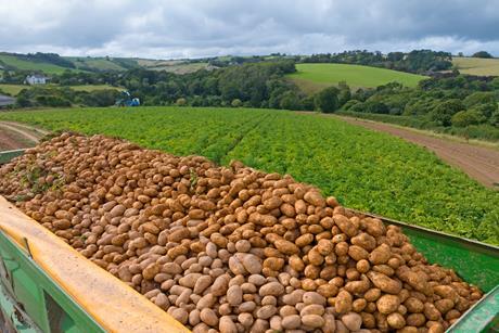 trailer of potatoes - getty