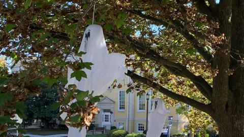 Trick or Tree Ghouls cropped