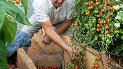 UNP Grocer 48115 Alex Smith Aisholt010