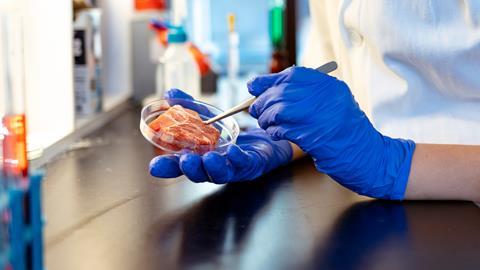 Food safety meat inspection test GettyImages-1193697044