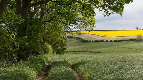Charlie & Ivy's Farm