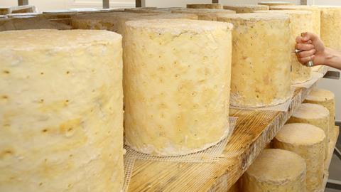Cheese maker inspecting stilton cheese wheel GettyImages-973736236