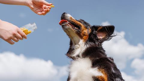 petcare pet dog healthcare supplements