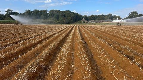 Irrigating to harvest in Suffolk