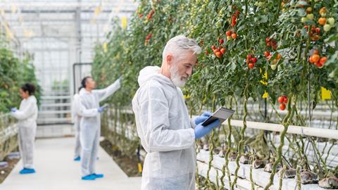 Crop science GettyImages-1303182502