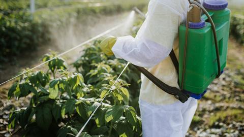 pesticide crop farming farm