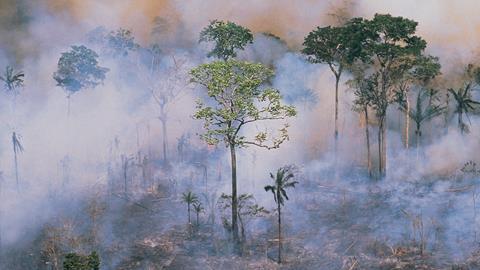 amazon forest fire