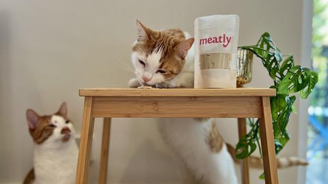 2 Lami and Zanzi with Mealty Chicken. Photo Credit; Harriet Constable-Meatly