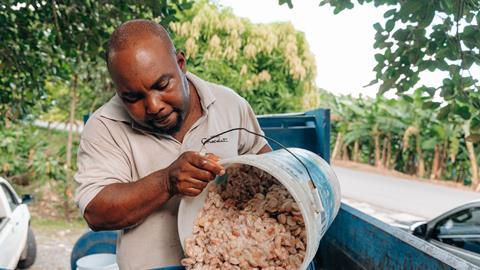 Rabot Estate - Island growers A7206159