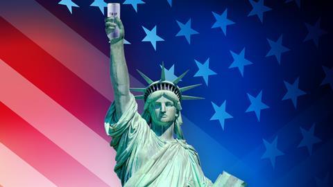 Lady Liberty Trip
