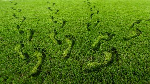 grass footprints
