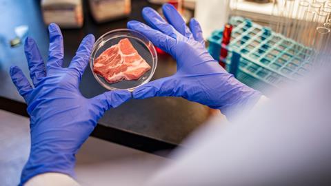 lab grown meat