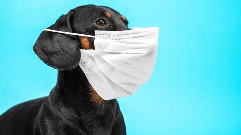 MAiN_GettyImages-1214543304_0001