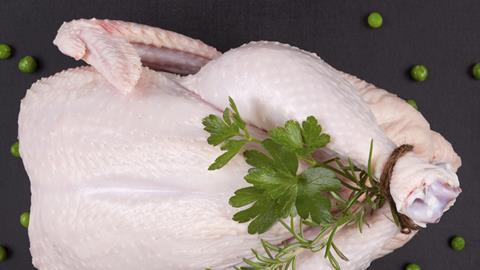 chicken