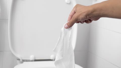 toilet wet wipes (2)