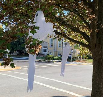 Trick or Tree Ghouls cropped