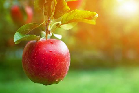 Apple