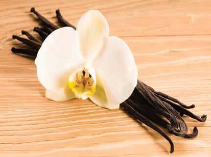 Waitrose lists organic vanilla bean grinder from RH Amar