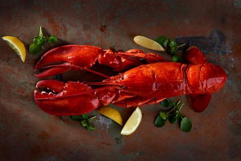 65084_Luxury Canadian Whole Cooked Lobster_SOP_250719