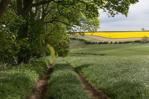 Charlie & Ivy's Farm