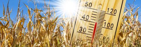 Heatwave field GettyImages-1470461678