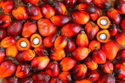 Ferrero palm oil 3