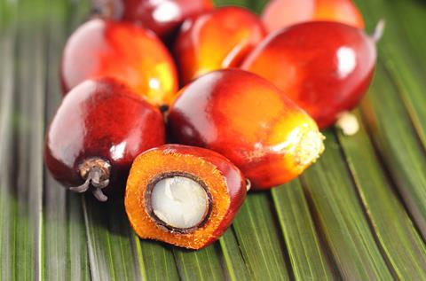 Ferrero palm oil 4