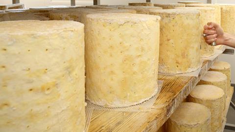 Cheese maker inspecting stilton cheese wheel GettyImages-973736236