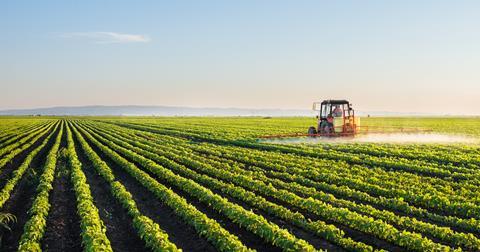 farming field tractor spraying crops