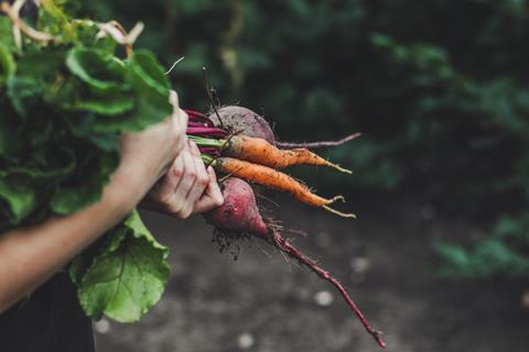 Vegetables carrots beetroot