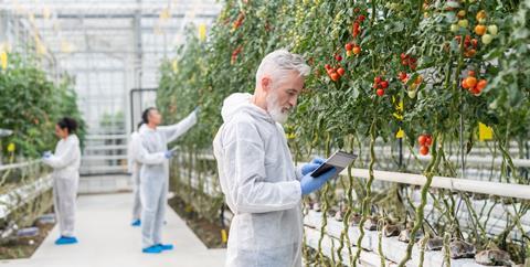 Crop science GettyImages-1303182502