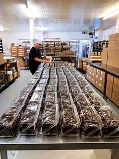 Working Factory Internal 1