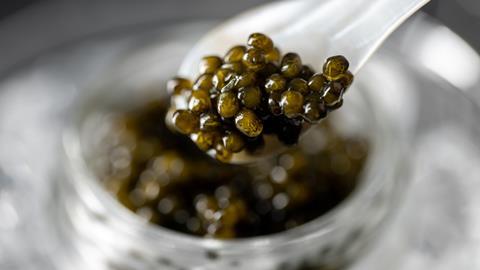 caviar