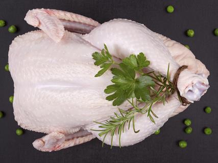 chicken
