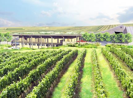 Work begins on giant Rathfinny Estate eco winery