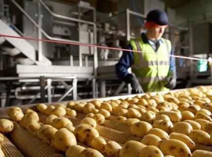 Walkers potato production line for PepsiCo