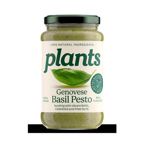 Plants Basil Pesto