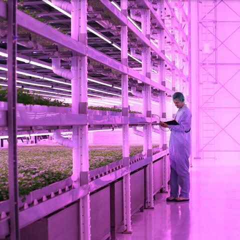 Jones Food Company - Vertical Farm