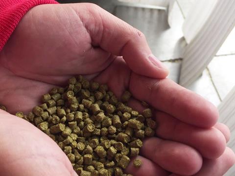 hop pellets