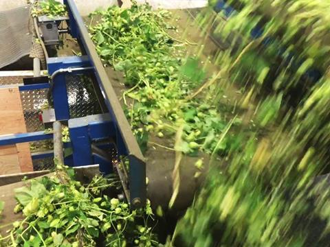 hop processing