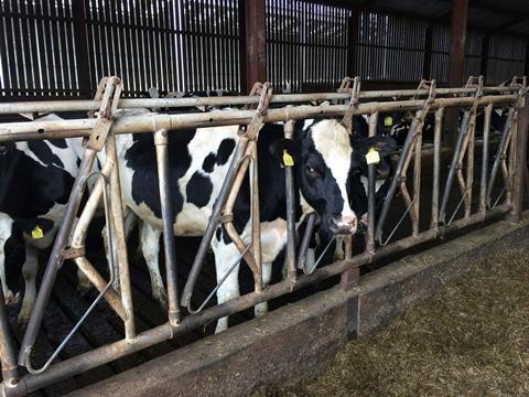 Dairy farm - box 2