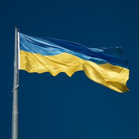 Ukraine flag (2)