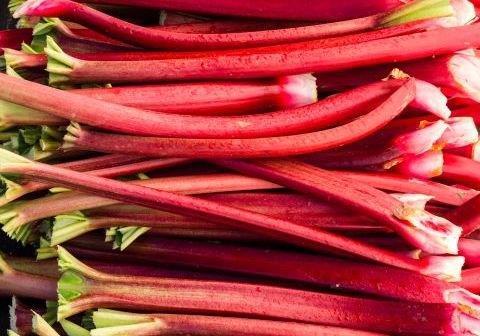 rhubarb