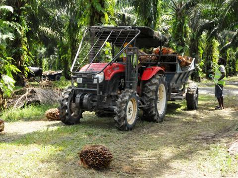 ox pulling cart forest farming
