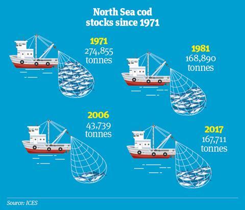 Fish infographic