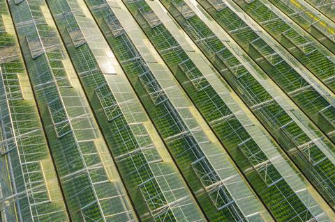 sustainability eco environment greenhouse farming GettyImages-1352088247