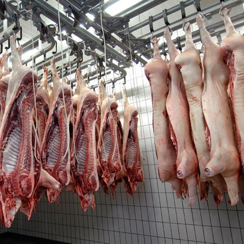 Meat hanging in abattoir