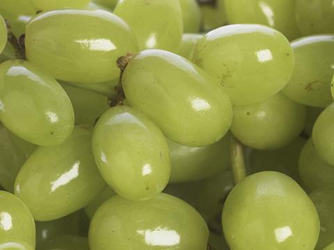 Grapes