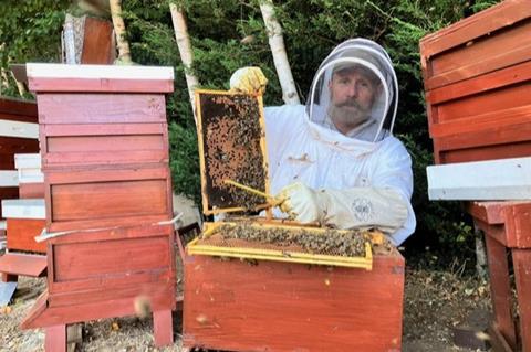 James Hamill, The Hive Honey Company